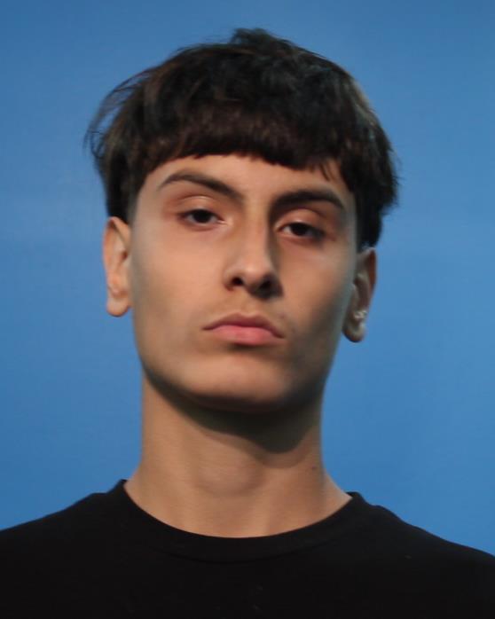 Gilbert, Jordan booking photo