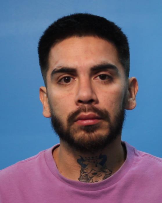 Castro, Roy, Jr. booking photo