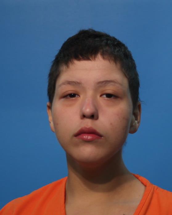 SOLIS, KAITLYN MARIE arrested by Pearland Police Department