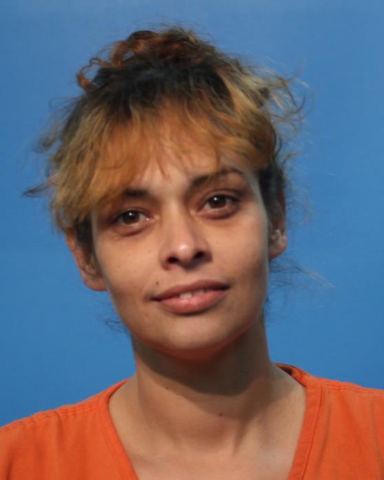 Villanueva, Nina Ann booking photo