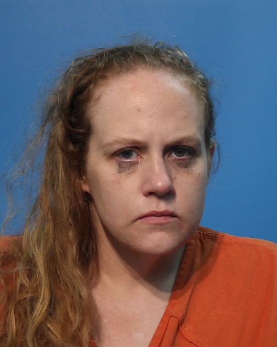 SMITH, TRACY ANN booking photo