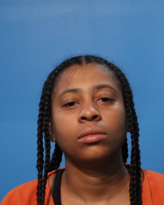 Villatoro, Lydia arrested by Manvel Police Department