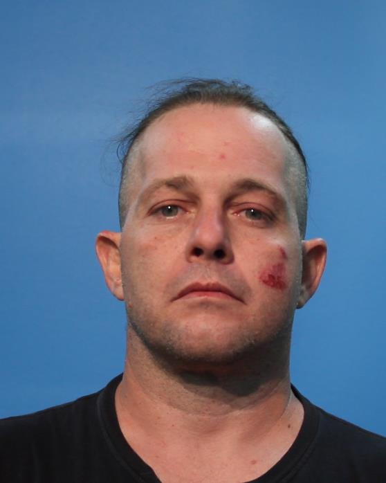 Hamilton, Michael Paul booking photo