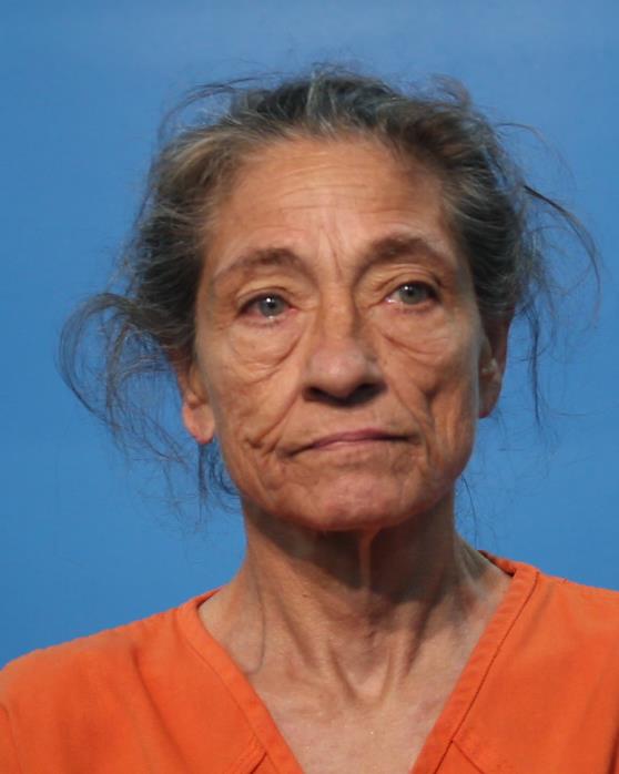 Collins, Carol Sue arrested by Brazoria Co. Const. Pct. 4