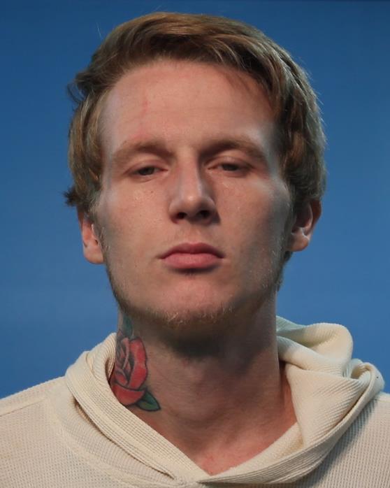 Vienneau, Dillon booking photo