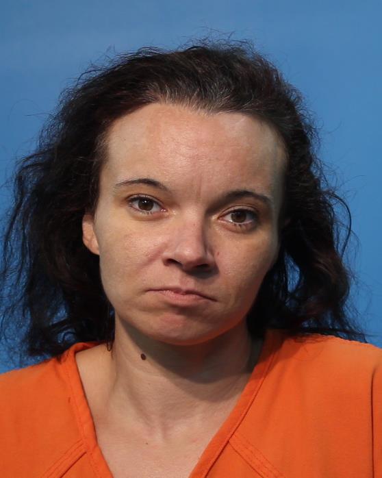 Hollis, Rebecca Ann booking photo