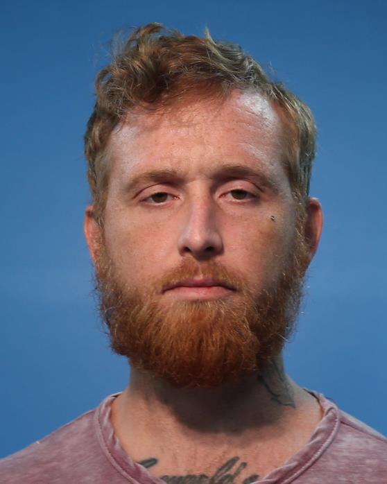 HINSON, JOSHUA DEAN booking photo