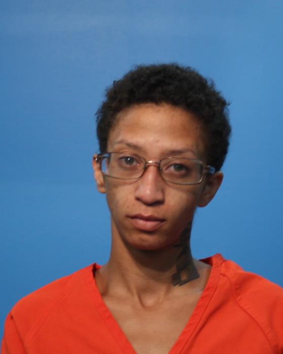 BAKER, CLAUDIA LYNETTE arrested by Department of Public Safety