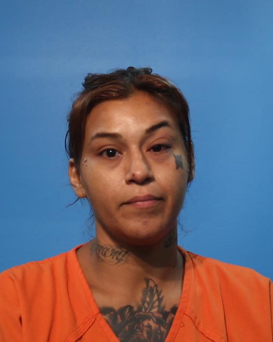 Andrio, Elizabeth Ann booking photo