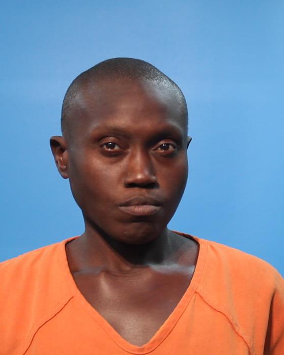 STEELE, WILLIEMEA arrested by Lake Jackson Police Department