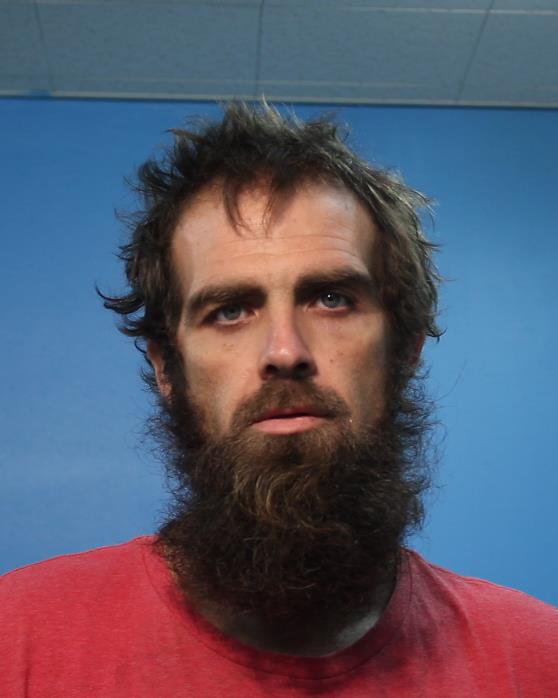 THOMPSON, HOWARD WILLIAM booking photo