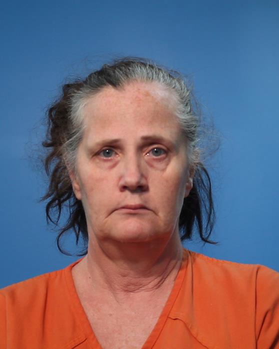 HARRISON, MICHELLE JOYCE booking photo