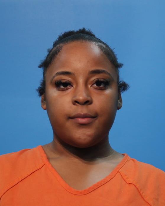 BLAKE, LAUREN ASHLEY booking photo