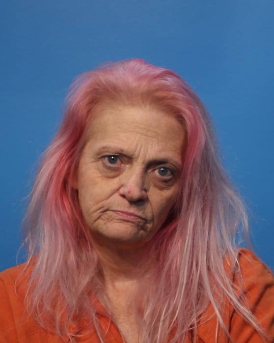 Diamond, Terri LYN arrested by Brazoria County Sheriff’s Office