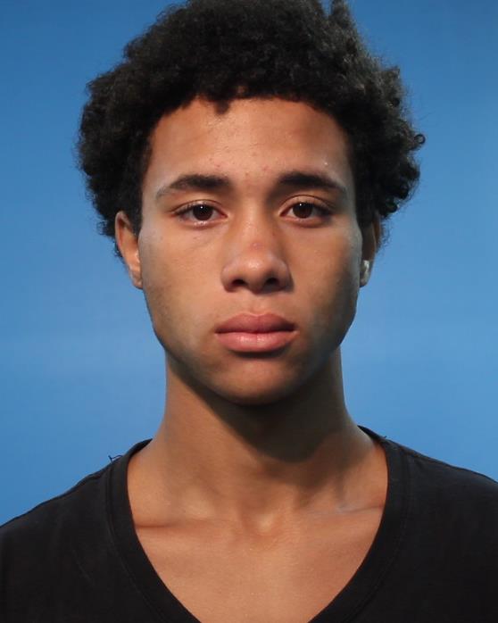 WILLIAMS, ROBERT KHALIL arrested by Brazoria County Sheriff’s Office