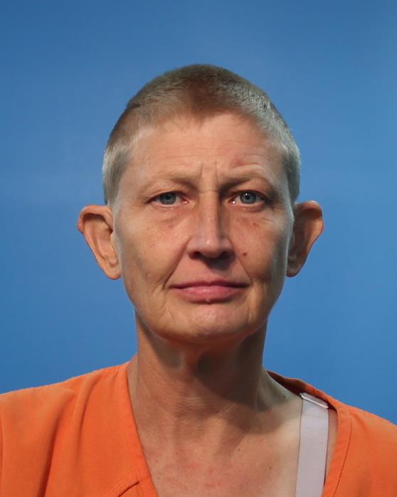 Watson, Susan arrested by Lake Jackson Police Department