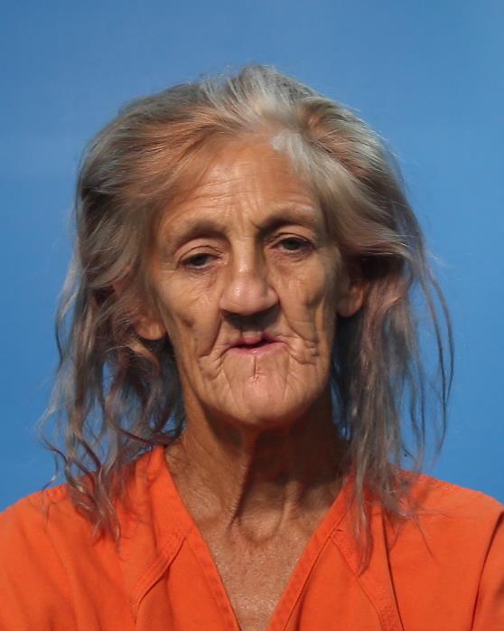 Wilson, Kari Lynn arrested by Alvin Police Department