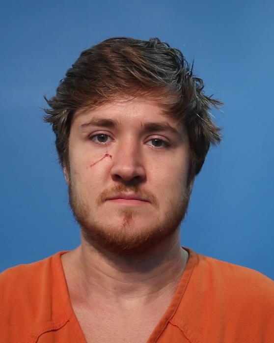 Baldwin, Sean Robert booking photo