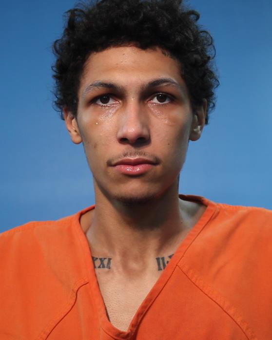 Johnson, Aaron booking photo