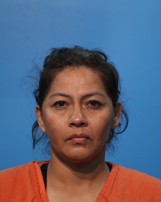 Gonzalez, Sonia booking photo