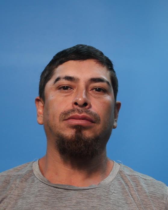 ROSALES CASTORENA, JOSE booking photo