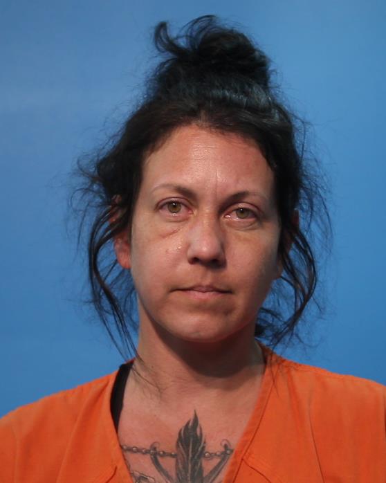 Johnson, Julia Erin booking photo