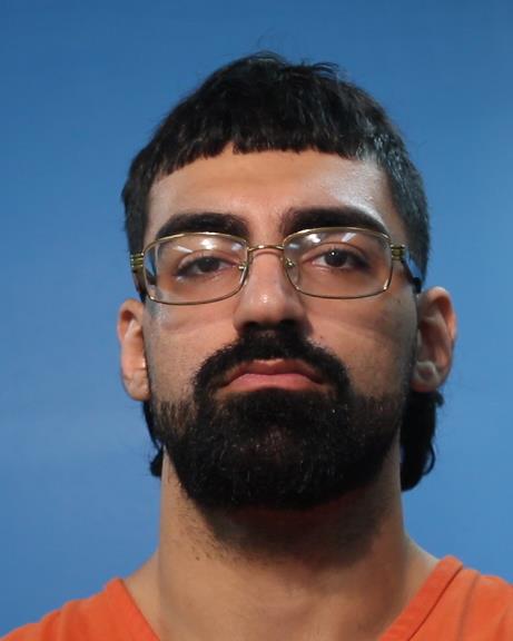 Ebrahimpour, Parsa booking photo
