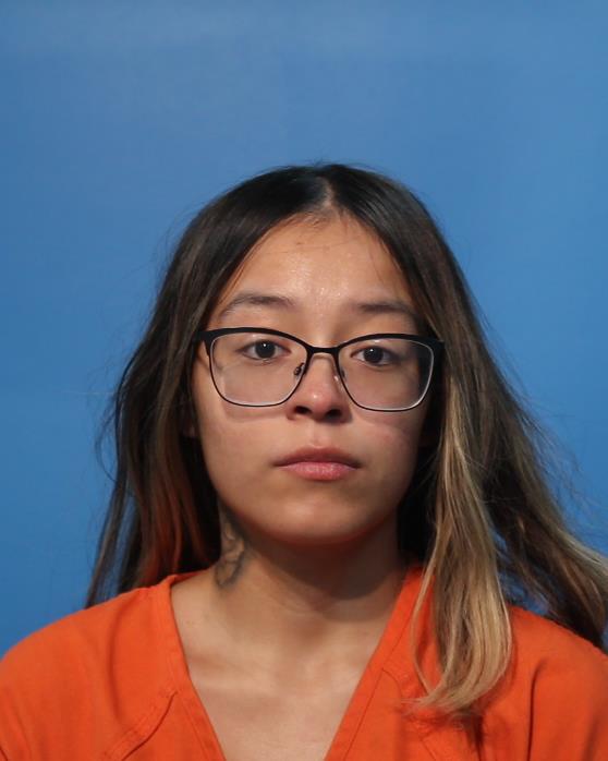 ROSALES, NATALIE booking photo
