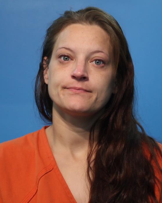 Wilson, Megan Kathryn booking photo