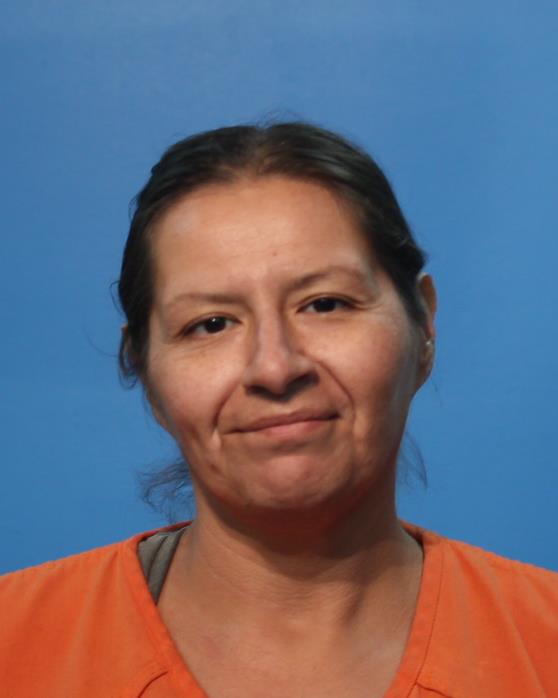 Hernandez, Rachel booking photo