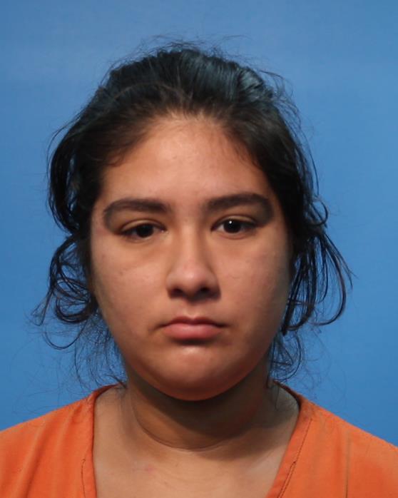 TORRES, CARISSA ANN booking photo