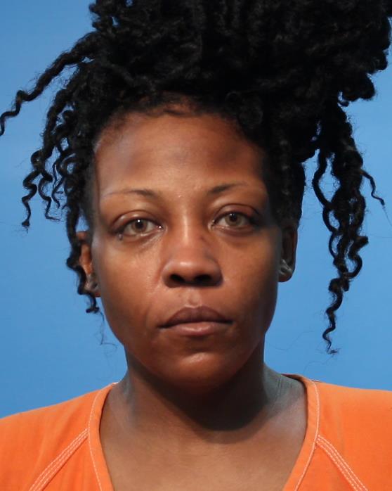 Johnson, Shauna booking photo