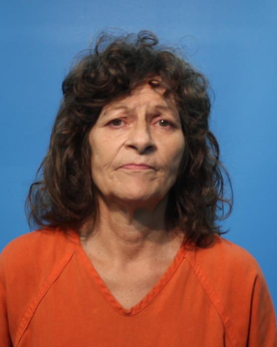 STANLEY, LISA BARHAM arrested by Alvin Police Department