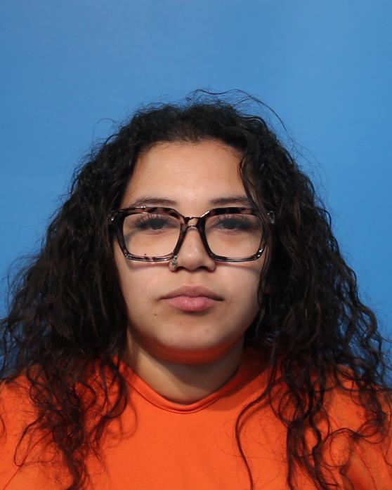 Banks, Krystena Darnell booking photo