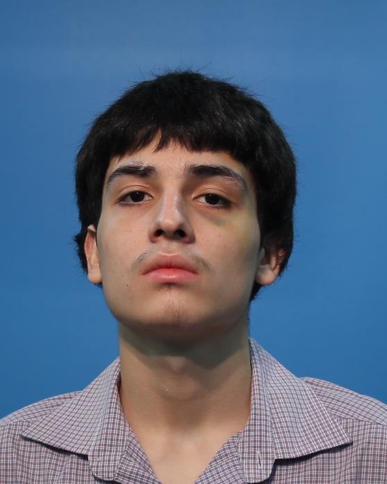 HERRERA, MARTIN NICHOLAS, Jr. booking photo