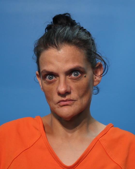 Brandon, Megan Michelle arrested by Brazoria County Sheriff’s Office