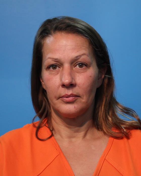 DUARTE, CHRISTINA DANIELLE arrested by Brazoria County Sheriff’s OfficePublic Intoxication