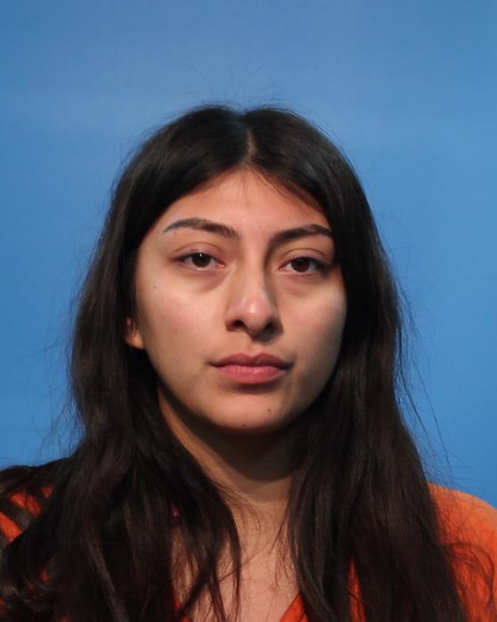 SANDOVAL, CINDY booking photo