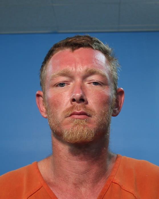 DAVIS, DUSTIN booking photo