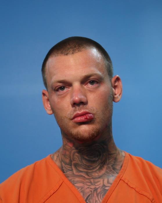 Williams, Sean Zachary arrested by Brazoria County SO/PD