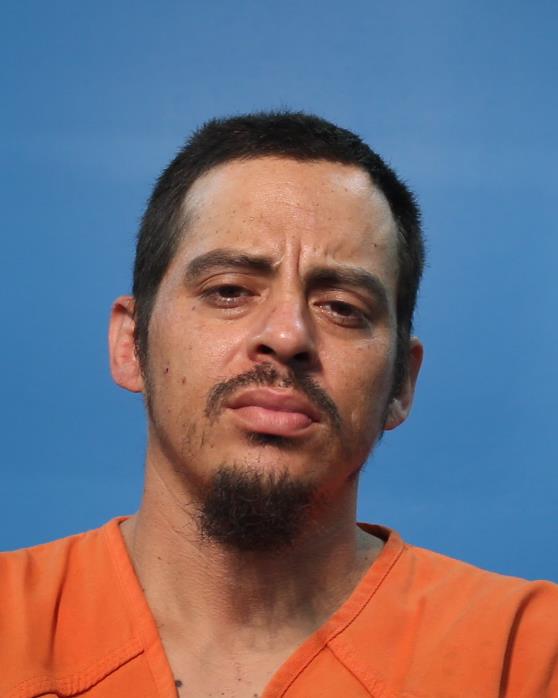 ROSAS, SIMON booking photo