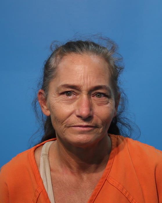 Petty, Lisa Renee arrested by POSS CS PG 1/1-B >=1G