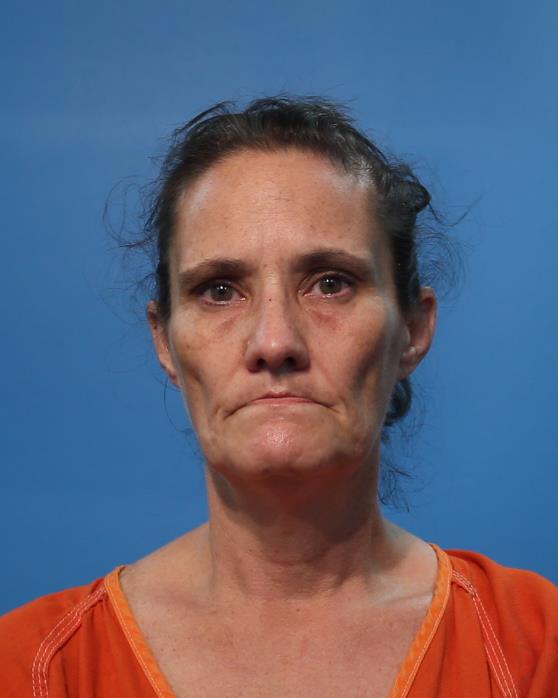 FISHER, DIANA CHRISTY arrested by Brazoria County Sheriff’s Office