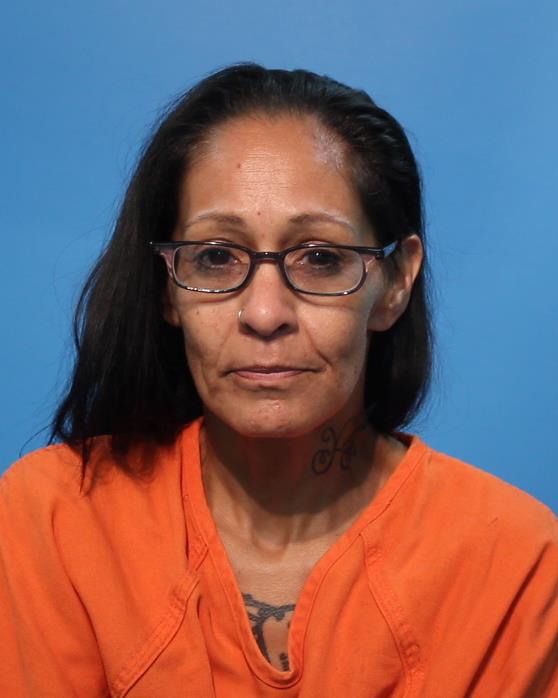 Pouzol, Michelle booking photo