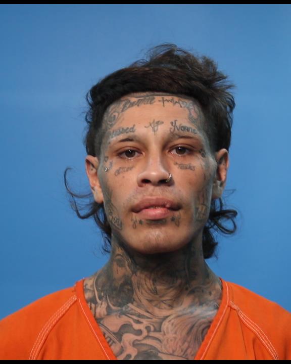 Bernal, Joshua arrested by S/S RESIST ARREST SEARCH OR TRANSPORTSS/ EVADING ARREST WITH PRIOR CONVICTIONSS/ POSS CS PG 1/1-B >=1G