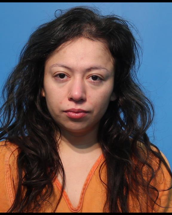 Reyes, Yajaira booking photo