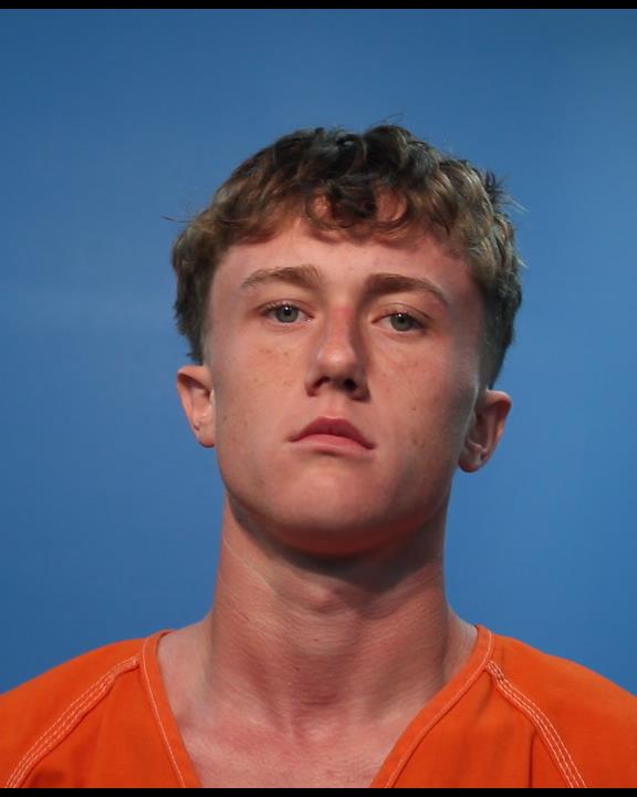 STEINFELD, TRYSTON SCOTT arrested by Brazoria County SO/PD