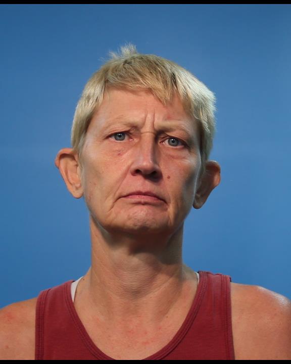 Watson, Susan Renae arrested by Brazoria County Sheriff’s Office