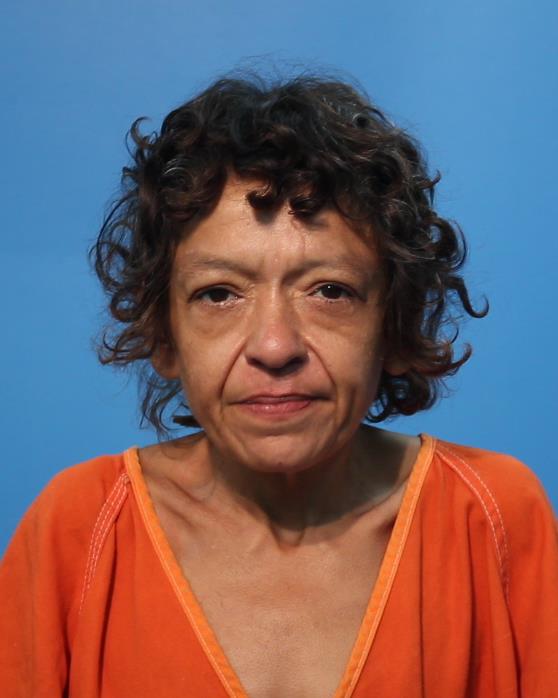 Longoria, Michelle booking photo