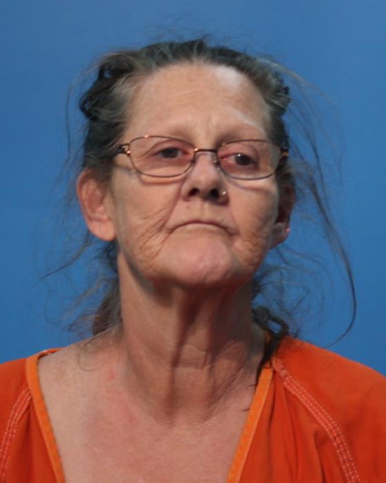 Barber, Elena Kay booking photo